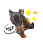 ミニピンラッキー（個別スタンプ：2）