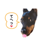 ミニピンラッキー（個別スタンプ：7）