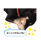 ミニピンラッキー（個別スタンプ：12）