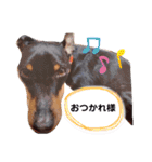 ミニピンラッキー（個別スタンプ：21）