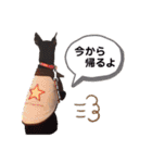 ミニピンラッキー（個別スタンプ：25）
