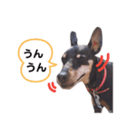 ミニピンラッキー（個別スタンプ：27）