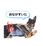 ミニピンラッキー（個別スタンプ：29）