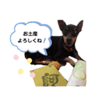 ミニピンラッキー（個別スタンプ：32）