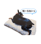 ミニピンラッキー（個別スタンプ：34）