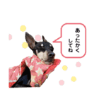 ミニピンラッキー（個別スタンプ：37）