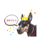 ミニピンラッキー（個別スタンプ：38）