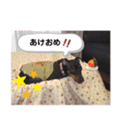 ミニピンラッキー（個別スタンプ：40）