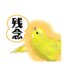 ブラシいんこ（個別スタンプ：13）
