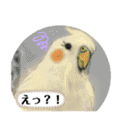ブラシいんこ（個別スタンプ：14）