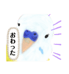 ブラシいんこ（個別スタンプ：15）