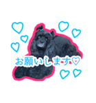アメコカのリブ2（個別スタンプ：1）