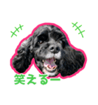アメコカのリブ2（個別スタンプ：7）