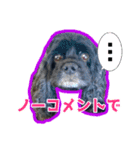 アメコカのリブ2（個別スタンプ：14）