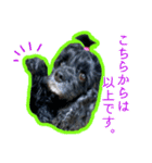 アメコカのリブ2（個別スタンプ：21）