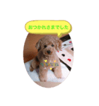 といぷーのミント（個別スタンプ：1）
