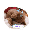 といぷーのミント（個別スタンプ：7）