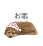 おはぎさん2（個別スタンプ：2）