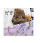 おはぎさん2（個別スタンプ：12）
