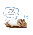ゴールデンハムスター(アポロとミルク)（個別スタンプ：4）