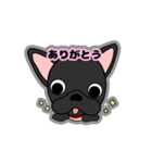 フレンチブルドッグBOSSの日常スタンプ（個別スタンプ：12）