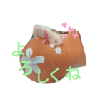ウーパールーパーのpinoくん（個別スタンプ：4）