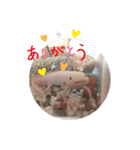 ウーパールーパーのpinoくん（個別スタンプ：8）