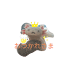 ウーパールーパーのpinoくん（個別スタンプ：14）