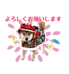 Cocoちゃんの可愛いスタンプ（個別スタンプ：6）