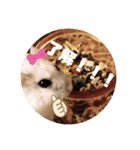 杏仁スタンプ。（個別スタンプ：7）