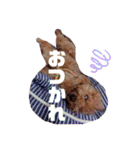 保護犬ぽんずの日常（個別スタンプ：10）
