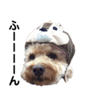 保護犬ぽんずの日常（個別スタンプ：33）