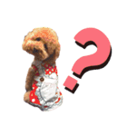 保護犬ぽんずの日常（個別スタンプ：35）