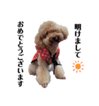 保護犬ぽんずの日常（個別スタンプ：38）