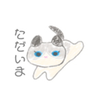 子ネコののあちゃん（個別スタンプ：7）