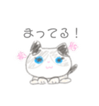 子ネコののあちゃん（個別スタンプ：12）