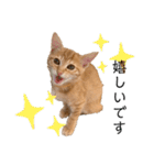 グリちゃんstamp（個別スタンプ：33）