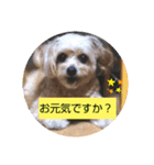 watageaisatu（個別スタンプ：2）