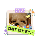 watageaisatu（個別スタンプ：7）
