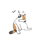 気持ちを伝える動物たち2（個別スタンプ：6）