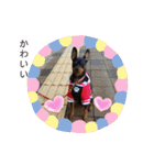 かわゆす かわゆす（個別スタンプ：2）