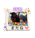 かわゆす かわゆす（個別スタンプ：10）