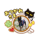 かわゆす かわゆす（個別スタンプ：16）