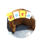 田舎に住むマロン（個別スタンプ：2）