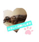 田舎に住むマロン（個別スタンプ：4）