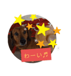 田舎に住むマロン（個別スタンプ：7）