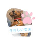 田舎に住むマロン（個別スタンプ：10）