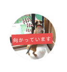 田舎に住むマロン（個別スタンプ：14）