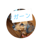 田舎に住むマロン（個別スタンプ：18）