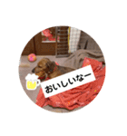 田舎に住むマロン（個別スタンプ：22）